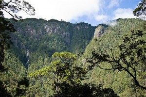 foret honduras voyage organisé agence de voyages mercedes sherbrooke